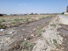 فیلم | فاجعه زیست محیطی گاوداری صابری در کهریزک| خبرنگار، قاضی را به صحنه دعوت کرد فیلم | فاجعه زیست محیطی گاوداری صابری در کهریزک| خبرنگار، قاضی را به صحنه دعوت کرد